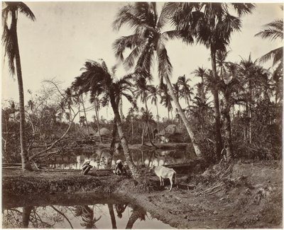 Landsbyutsikt i Bengal, India Rustikk scene og landsbyliv i Bengal (original tittel) av Samuel Bourne (signed by artist)