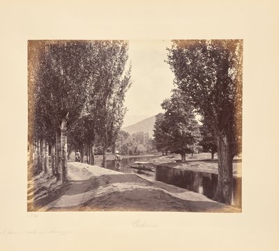  av Samuel Bourne