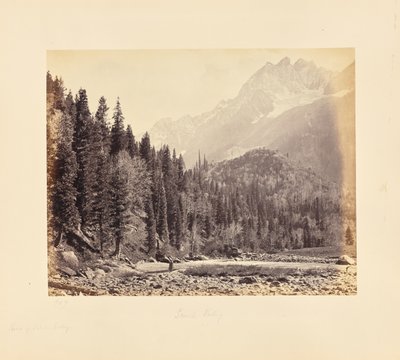  av Samuel Bourne