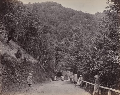 Shimla. The Mall eller hovedgaten av Samuel Bourne