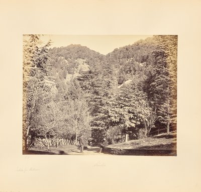  av Samuel Bourne