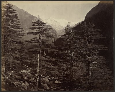 Snødekte topper nær Gangotri, fra Bhairamghati av Samuel Bourne