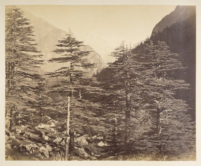 Snødekte topper nær Gangootri fra Bhairamghati. Fotograf: Bourne, Samuel Album med fotografier av India, hovedsakelig av Samuel Bourne1866 av Samuel Bourne