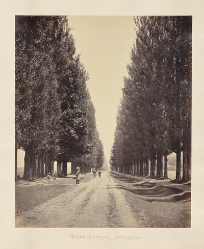  av Samuel Bourne