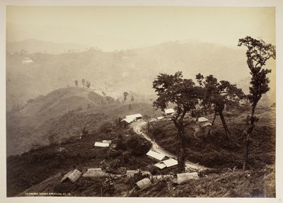 Teendari Bazaar, Darjeeling, fra 'Views of Darjeeling', 1860 - 1880 (s/hvitt-bilde) av Samuel Bourne