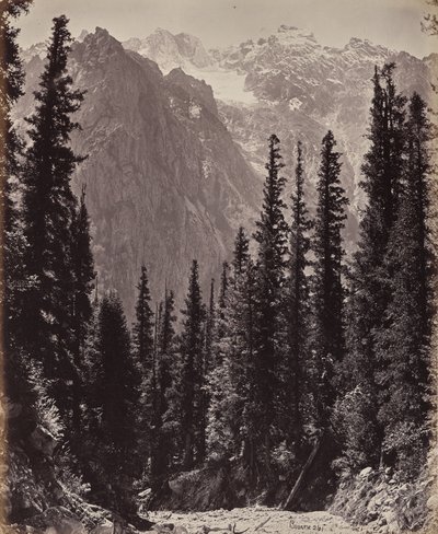  av Samuel Bourne