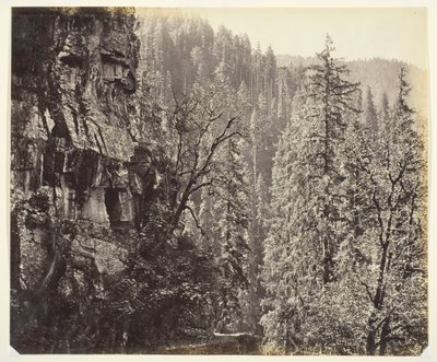 Uten tittel [klipper og trær], ca. 1865. av Samuel Bourne