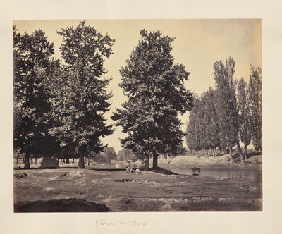  av Samuel Bourne