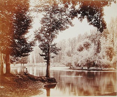 Utsikt over Dhul-kanalen, Kashmir, ca. 1865 (sepia-bilde) av Samuel Bourne