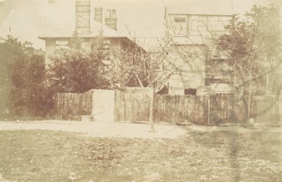 Tree in Yard, 1850-tallet. av Samuel Buckle