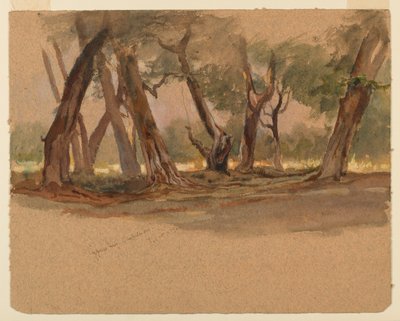 Cypress Trees, Chapultepec, Mexico av Samuel Colman