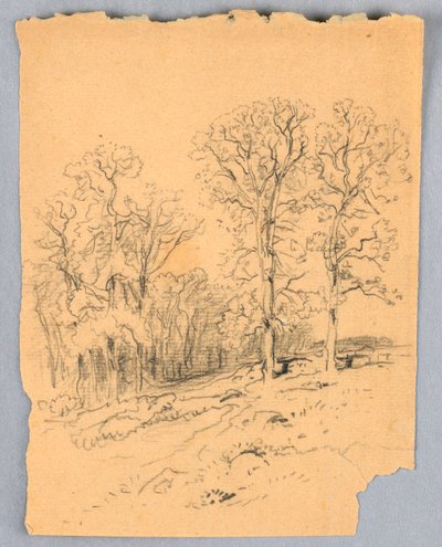  av Samuel Colman