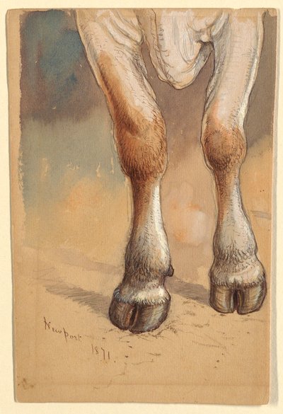  av Samuel Colman