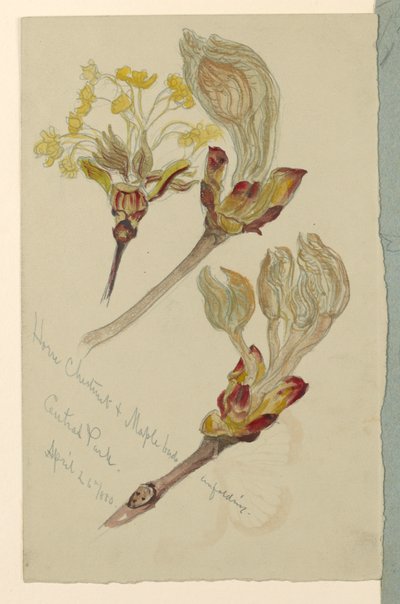  av Samuel Colman
