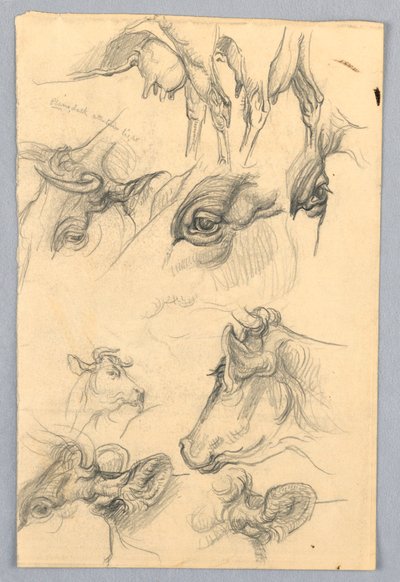 Studies of Cows   1255381   no       norwegian Successfully Translated  Original: Tomyris with the Head of Cyrus Translat: Tomyris with the Head of Cyrus 1251031 no norwegian Successfully Translated Original: ""Esquisse pour peinture a bordure blanche"" (S av Samuel Colman