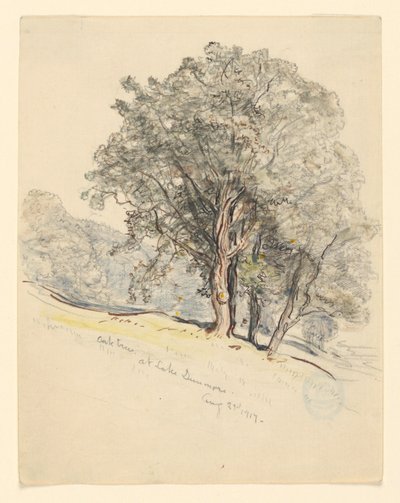 Studie av eiketrær ved Lake Dunmore, Vermont av Samuel Colman