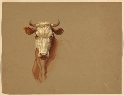 To studier av storfe av Samuel Colman