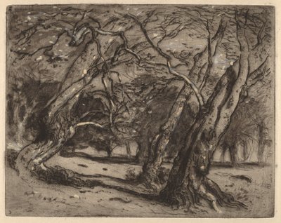 Uten tittel (skogkledd landskap) av Samuel Colman