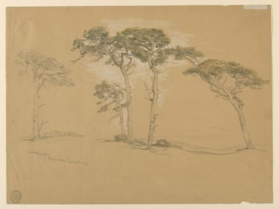 Windblown Pines, Pacific Grove. Verso: Pacific Coast road to Point Sur.   1238549   no       norwegian Successfully Translated  Original: Landscape with Castle and Bridge, about 1808-20 (Gouache and watercolour) Translat: Landscape with Castle and Bridge,  av Samuel Colman