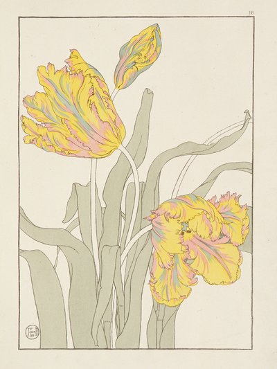 A Bosjeman, a Bosjeswoman, a Booshuana Woman, a Booshuana Man: fire hode- og skuldervignetter, plate 29 fra 