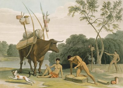 Korah Hottentots Preparing to Remove, plate 20 fra 