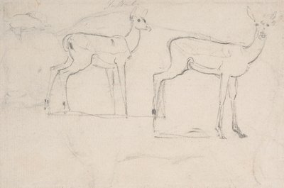Studie for to stående Pallah-hjort av Samuel Daniell