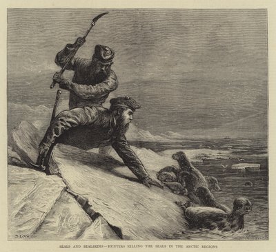 Seler og selskinn, jegere som dreper selene i de arktiske områdene av Samuel Edmund Waller