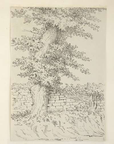 Add. MS 15546 Am Elm Tree at Bedminster   1352388   no       norwegian Successfully Translated  Original: Happening (Geschehen) Translat: Happening (Geschehen) 1359152 no norwegian Successfully Translated Original: Bebudelsen Translat: Bebudelsen 1263996 n av Samuel Hieronymous Grimm