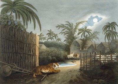 En tiger som går gjennom en landsby (storfe i redsel), fra 