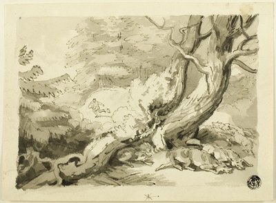 Revejakt av Samuel Howett