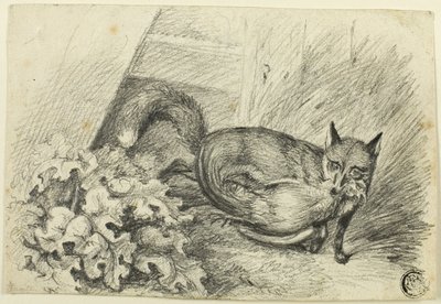Fox som stjeler en kuk av Samuel Howett