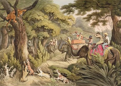 Shooting A Leopard, fra Oriental Field Sports, pub. av Edward Orme, 1807 (trykk) av Samuel Howett