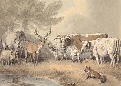 En frosk som konfronterer en sirkel av dyr av Samuel Howitt
