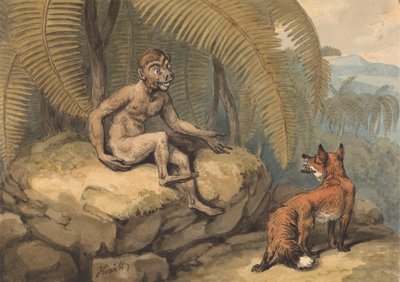En ape og en rev av Samuel Howitt