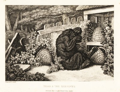 En brunbjørn angrepet av en hær av bier. 1811 (etsing) av Samuel Howitt
