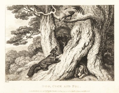 En hane i et tre overliste en rev, mens en hund sover. 1811 (etsing) av Samuel Howitt