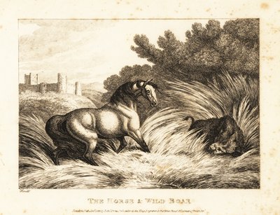 En hest og villsvin møter hverandre i et beite. 1811 (etsing) av Samuel Howitt