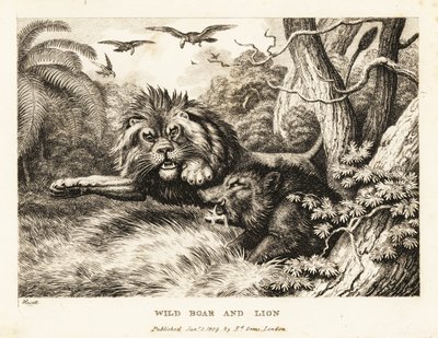 En løve og villsvin kjemper mens gribber sirkler over. 1811 (etsing) av Samuel Howitt