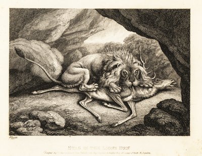 En løve spiser kadaveret av en hjort i en hule. 1811 (etsing) av Samuel Howitt