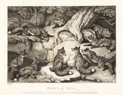 En flokk med rever møtes i en skog. 1811 (etsing) av Samuel Howitt