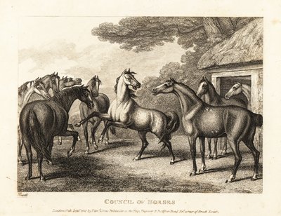 En ung hingst prøver å vekke et mytteri i stallen. 1811 (etsing) av Samuel Howitt