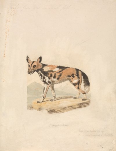 Abessinisk hund av Samuel Howitt