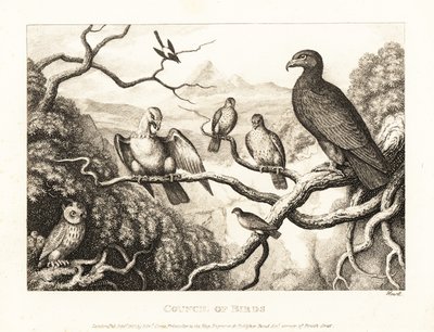 En ørn presiderer over en gård med fugler i et tre. 1811 (etsing) av Samuel Howitt