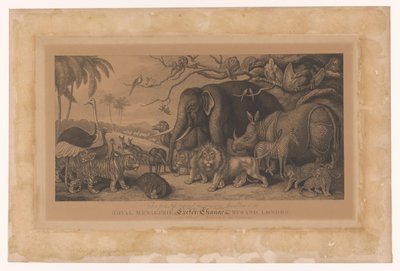 Eksotiske dyr fra Royal Menagerie on the Strand, London Royal Menagerie, Exeter Change, Strand, London (tittel på objekt) av Samuel Howitt