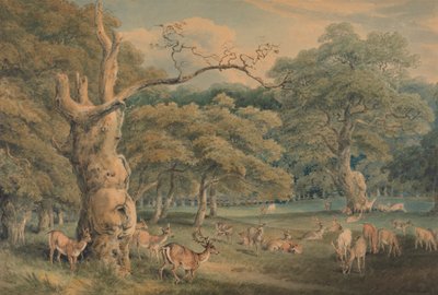 Hearne's Oak, Windsor Forest av Samuel Howitt