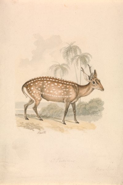 Hjort av Samuel Howitt