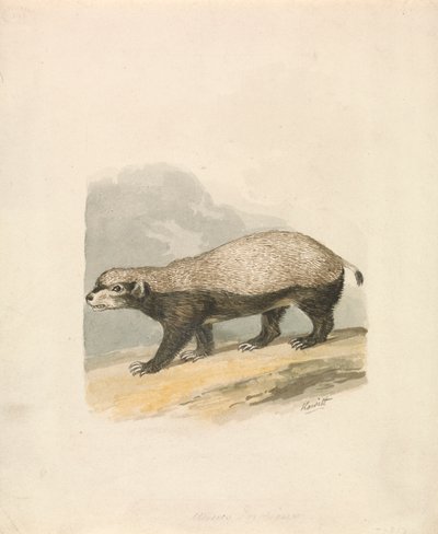 Honninggrevling av Samuel Howitt