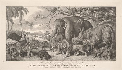 Tegnet etter livet, blant den tallrike forsamlingen i det kongelige menasjeriet, Exeter Exchange, Strand, London av Samuel Howitt