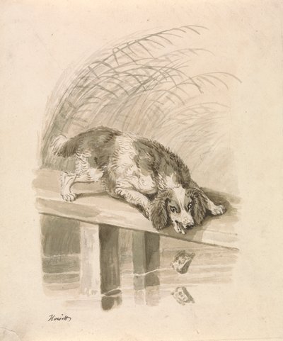 Hunden og Skyggen av Samuel Howitt
