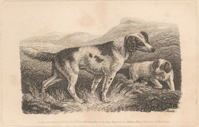 To hunder av Samuel Howitt